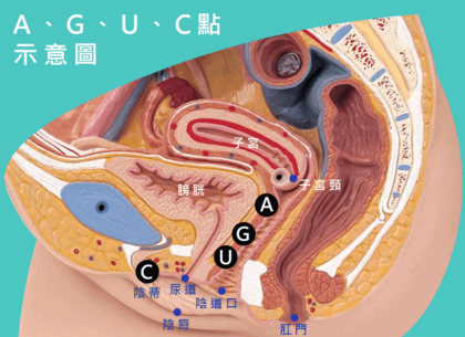 妹子的“G、A、C、U”点都在哪里?有什么作用?-颜夕资源网-第19张图片 妹子的“G、A、C、U”点都在哪里?有什么作用?-颜夕资源网-第19张图片