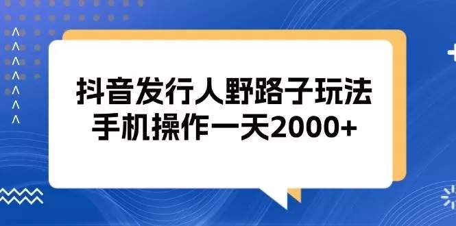 抖音发行人野路子玩法，手机操作一天2000+-颜夕资源网-第19张图片