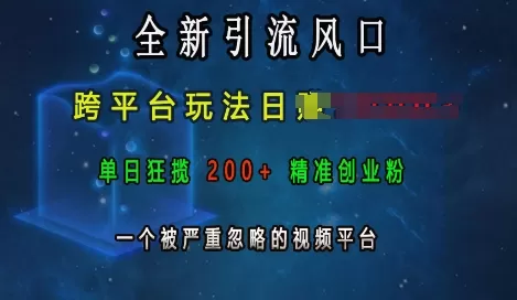 引流风口,跨平台玩法日入上k,单日200+创业粉,一个被严重忽略的视频平台-颜夕资源网-第19张图片 引流风口,跨平台玩法日入上k,单日200+创业粉,一个被严重忽略的视频平台-颜夕资源网-第19张图片