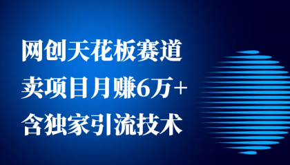 网创天花板赛道，卖项目月赚6万+，含独家引流技术（共26节课）-颜夕资源网-第19张图片