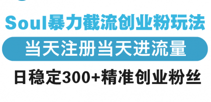 Soul暴力截流创业粉玩法,当天注册当天进流量,日稳定300+精准创业粉丝-颜夕资源网-第19张图片 Soul暴力截流创业粉玩法,当天注册当天进流量,日稳定300+精准创业粉丝-颜夕资源网-第19张图片