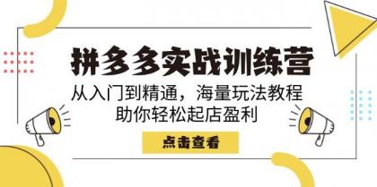拼多多实战训练营,从入门到精通,海量玩法教程,助你轻松起店盈利-颜夕资源网-第19张图片 拼多多实战训练营,从入门到精通,海量玩法教程,助你轻松起店盈利-颜夕资源网-第19张图片