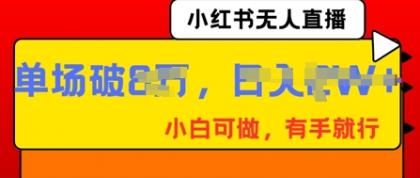 小红书无人直播，纯小白可做，有手就行，单场直播销售额破8w-颜夕资源网-第19张图片
