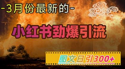 小红书的超劲爆引流方法方式,图文并茂日引300 轻轻松松转现1W-颜夕资源网-第19张图片 小红书的超劲爆引流方法方式,图文并茂日引300 轻轻松松转现1W-颜夕资源网-第19张图片