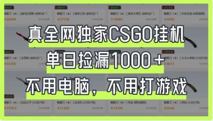 CSGO挂机,单日捡漏1000+,不用电脑,不用养号-颜夕资源网-第19张图片 CSGO挂机,单日捡漏1000+,不用电脑,不用养号-颜夕资源网-第19张图片