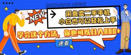 淘宝闲鱼二手手机,新手也能快速上手,懂得用这种方法,你就可以日入800-颜夕资源网-第19张图片 淘宝闲鱼二手手机,新手也能快速上手,懂得用这种方法,你就可以日入800-颜夕资源网-第19张图片
