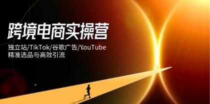跨境电商实操营:独立站/TikTok/谷歌广告/YouTube,精准选品与高效引流-颜夕资源网-第19张图片 跨境电商实操营:独立站/TikTok/谷歌广告/YouTube,精准选品与高效引流-颜夕资源网-第19张图片