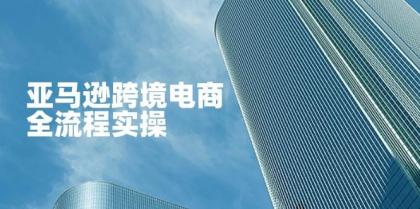 亚马逊跨境电商全流程实操,教你从零开始,掌握店铺运营与广告技巧-颜夕资源网-第19张图片 亚马逊跨境电商全流程实操,教你从零开始,掌握店铺运营与广告技巧-颜夕资源网-第19张图片