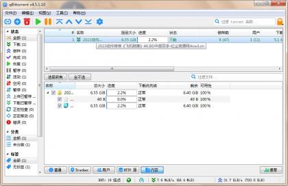 qBittorrent(强大的BT下载工具)v5.1.0.10中文绿色增强版-颜夕资源网-第19张图片 qBittorrent(强大的BT下载工具)v5.1.0.10中文绿色增强版-颜夕资源网-第19张图片