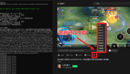 视频号下载器!支持直播回放下载,使用超简单,一键下载为MP4格式-颜夕资源网-第21张图片 视频号下载器!支持直播回放下载,使用超简单,一键下载为MP4格式-颜夕资源网-第21张图片