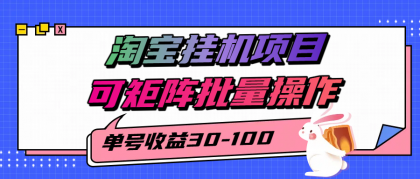 揭秘2025最新淘宝挂机项目,单号30-100,可矩阵批量操作(附工具)-颜夕资源网-第19张图片 揭秘2025最新淘宝挂机项目,单号30-100,可矩阵批量操作(附工具)-颜夕资源网-第19张图片