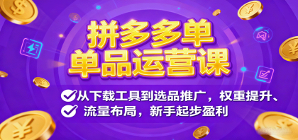 拼多多单品运营课,从下载工具到选品推广,权重提升、流量布局,新手起步盈利-颜夕资源网-第19张图片 拼多多单品运营课,从下载工具到选品推广,权重提升、流量布局,新手起步盈利-颜夕资源网-第19张图片