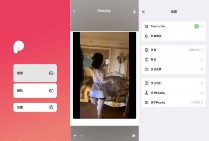 peachy抠图、P图、滤镜解锁会员版-颜夕资源网-第19张图片 peachy抠图、P图、滤镜解锁会员版-颜夕资源网-第19张图片