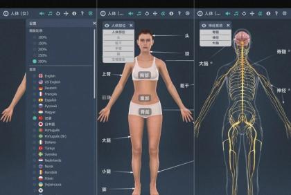 人体系统女性3D-1.0详细介绍女性全身系统~无广版-颜夕资源网-第19张图片 人体系统女性3D-1.0详细介绍女性全身系统~无广版-颜夕资源网-第19张图片