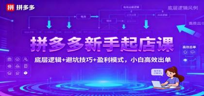 拼多多新手起店课:底层逻辑+避坑技巧+盈利模式,小白高效出单-颜夕资源网-第19张图片 拼多多新手起店课:底层逻辑+避坑技巧+盈利模式,小白高效出单-颜夕资源网-第19张图片
