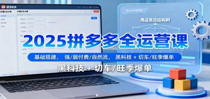 2025拼多多全运营课：基础搭建，强/弱付费/自然流，黑科技 + 切车/旺季爆单-颜夕资源网-第19张图片