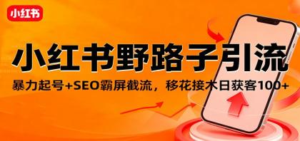 小红书野路子引流，暴力起号+SEO霸屏截流，移花接木日获客100+-颜夕资源网-第19张图片