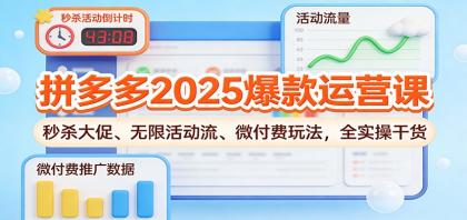 拼多多2025爆款运营课：秒杀大促、无限活动流、微付费玩法，全实操干货-颜夕资源网-第19张图片