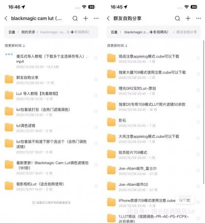 Blackmagic Cam Lut包影视飓风+馆长Lut 木木等滤镜包-颜夕资源网-第20张图片