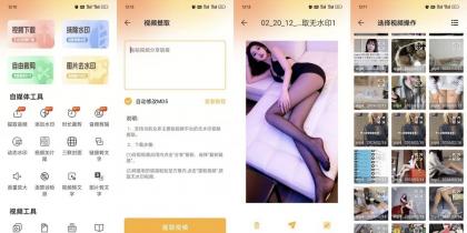 视频下载去水印22支持全网主流平台秒解析解锁会员-颜夕资源网-第19张图片