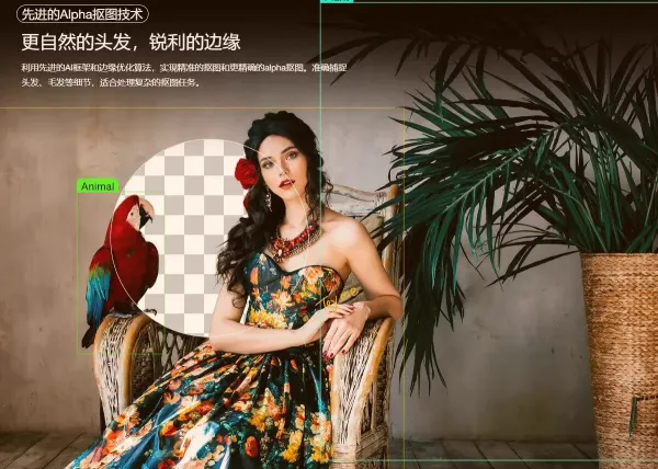 智能抠图 Matting2.6 一键快速抠图 PS 修图影楼设计 AI 抠图工具-颜夕资源网-第21张图片 智能抠图 Matting2.6 一键快速抠图 PS 修图影楼设计 AI 抠图工具-颜夕资源网-第21张图片