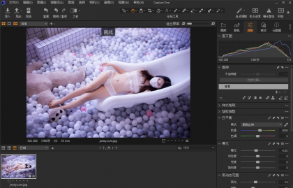 Capture One 23 RAW图像处理软件 v16.8.2.3615 中文破解版-颜夕资源网-第20张图片 Capture One 23 RAW图像处理软件 v16.8.2.3615 中文破解版-颜夕资源网-第20张图片